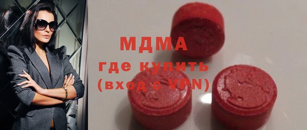 шишки Няндома