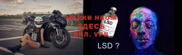 дмт Осинники