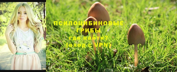мяу мяу мука Осташков