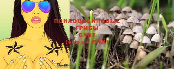 мяу мяу мука Осташков