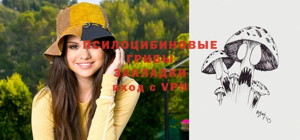 дмт Осинники