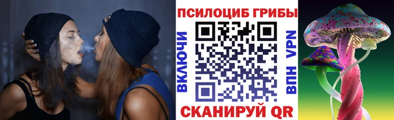 это состав  Сорск  Псилоцибиновые грибы мицелий 